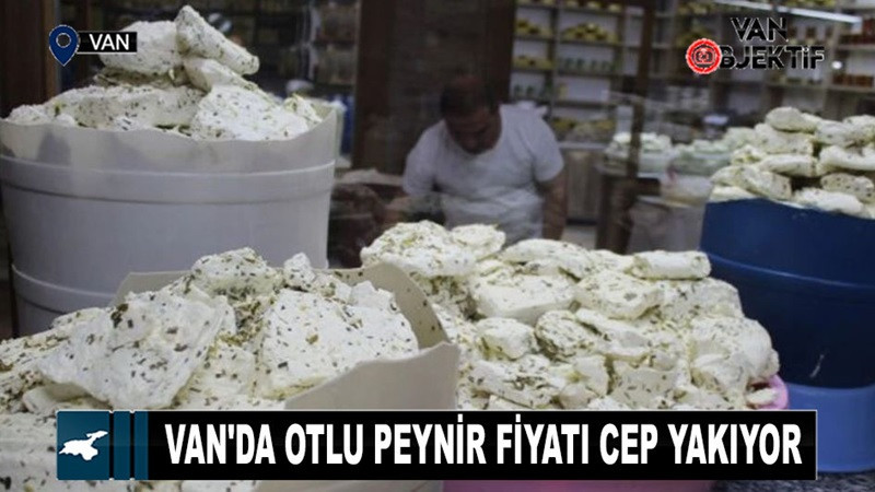 Van'da otlu peynir fiyatı cep yakıyor