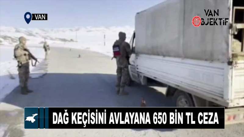 Van’da dağ keçisini avlayana 650 bin tl ceza