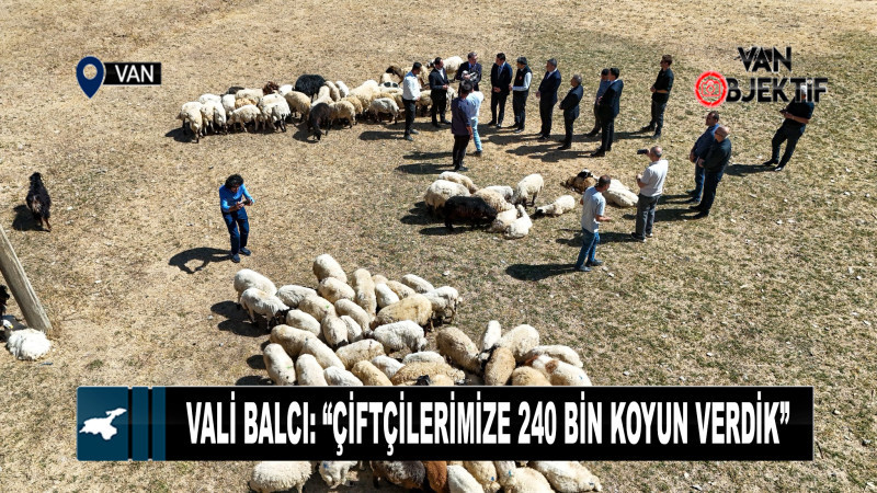 Vali Balcı: “Çiftçilerimize 240 bin koyun verdik”