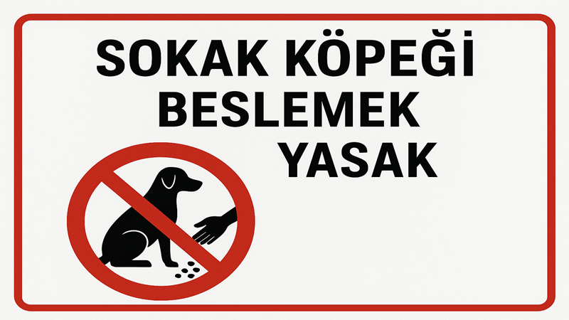 Sokak köpeklerini beslemek yasaklandı