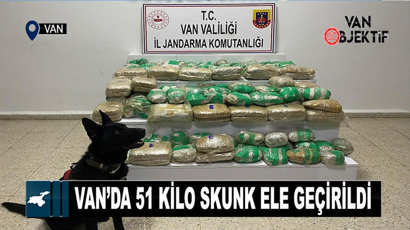 Van’da 51 kilo skunk ele geçirildi