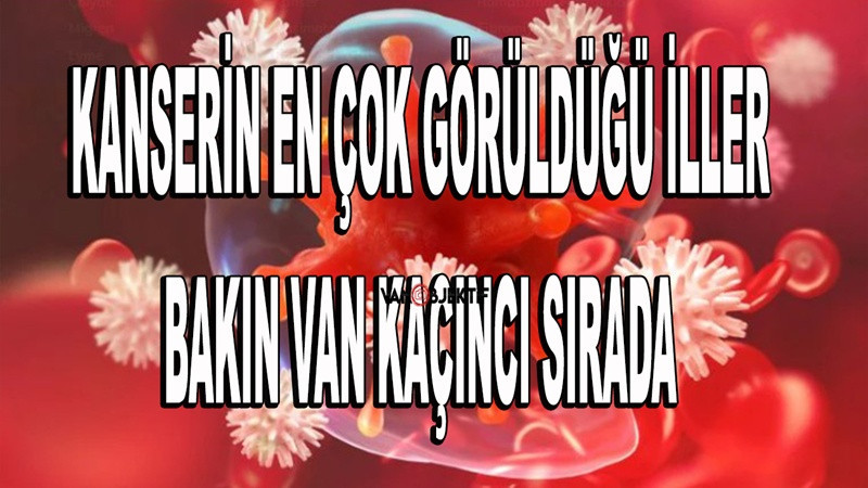 Kanserin en çok görüldüğü iller... Van kaçıncı sırada...