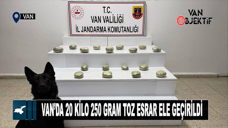 Van’da 20 kilo 250 gram toz esrar ele geçirildi
