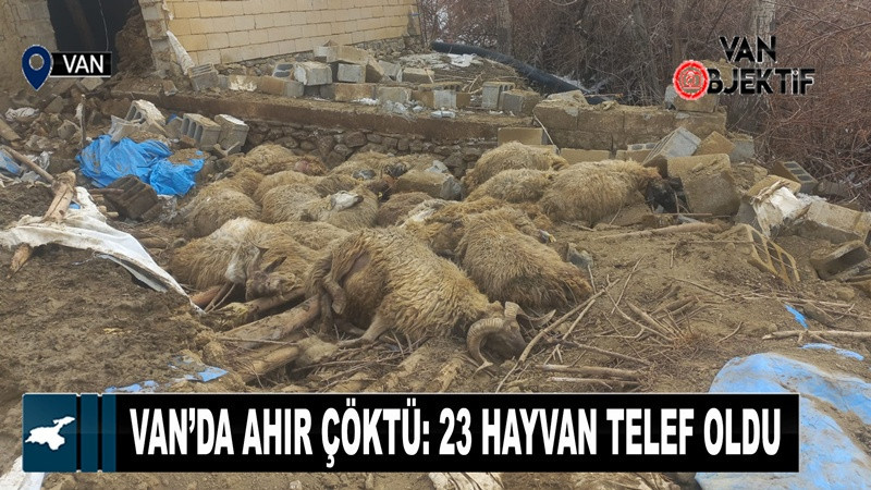 Van’da Ahır Çöktü: 23 Hayvan Telef Oldu