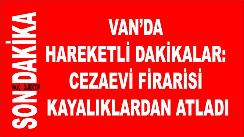  Van’da cezaevi firarisi kayalıklardan atladı 