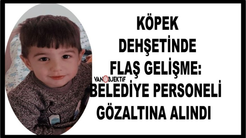 Köpek Dehşetinde Flaş Gelişme: Belediye Personeli Gözaltına Alındı 