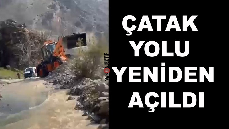 Van-Çatak Yolu Yeniden Açıldı