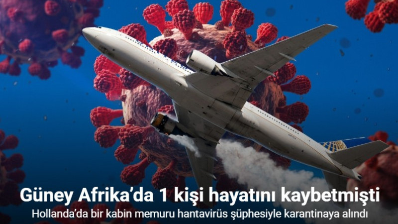 Hollanda’da bir kabin memuru hantavirüs şüphesiyle karantinaya alındı