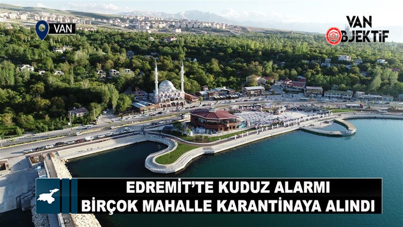 Edremit’te Kuduz Alarmı, Birçok Mahalle Karantinaya Alındı